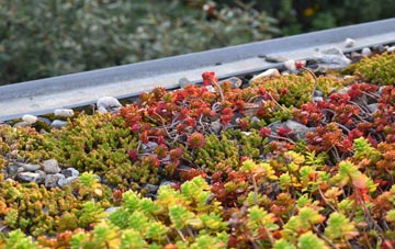 the cost of Easthaugh green roof installation